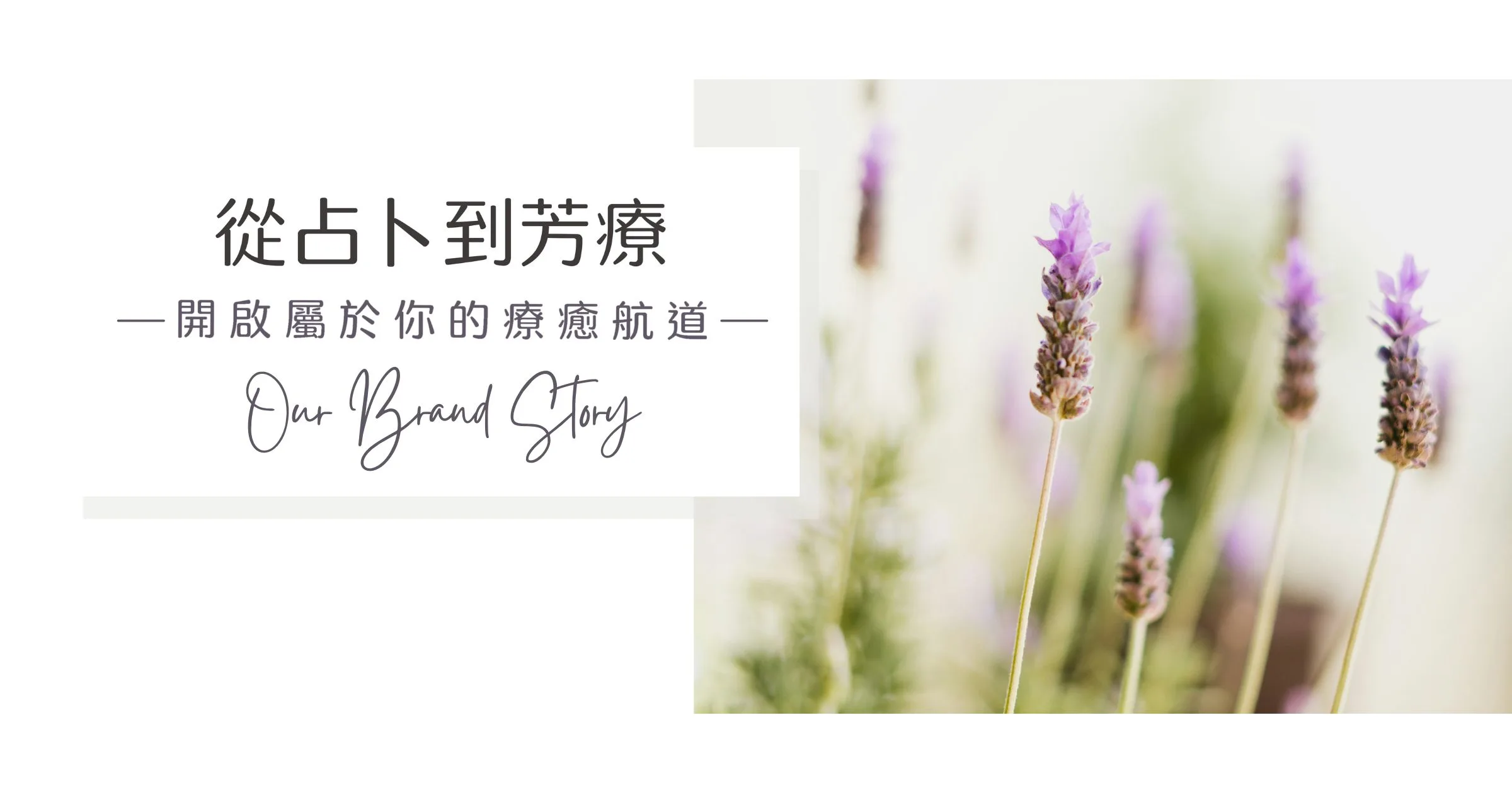 從占卜到芳療 — 開啟屬於你的療癒航道 | Our Brand Story | Nes Aroma Lab 香研居