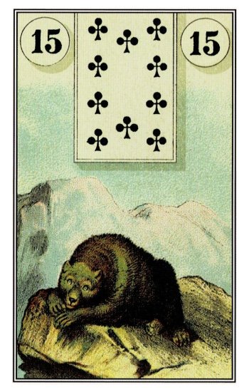 熊 Bear