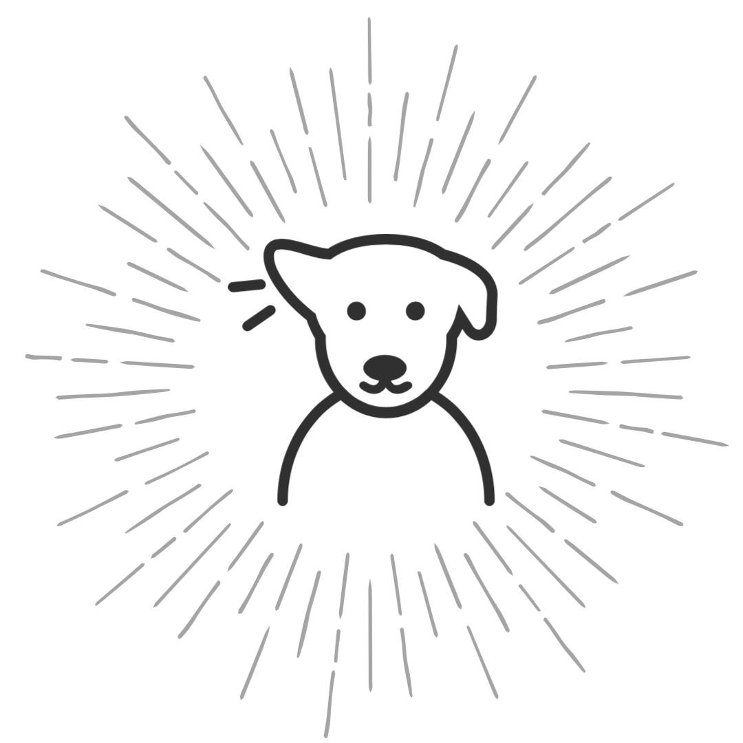 STEP 5 耳聽口述解牌