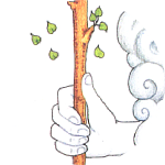 權杖皇牌 Ace of Wands