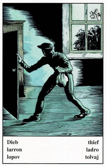 小偷 Thief