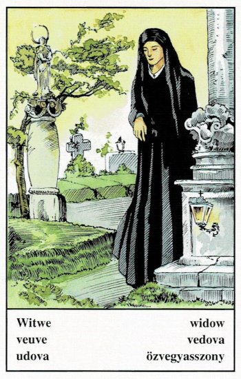 寡婦 Widow